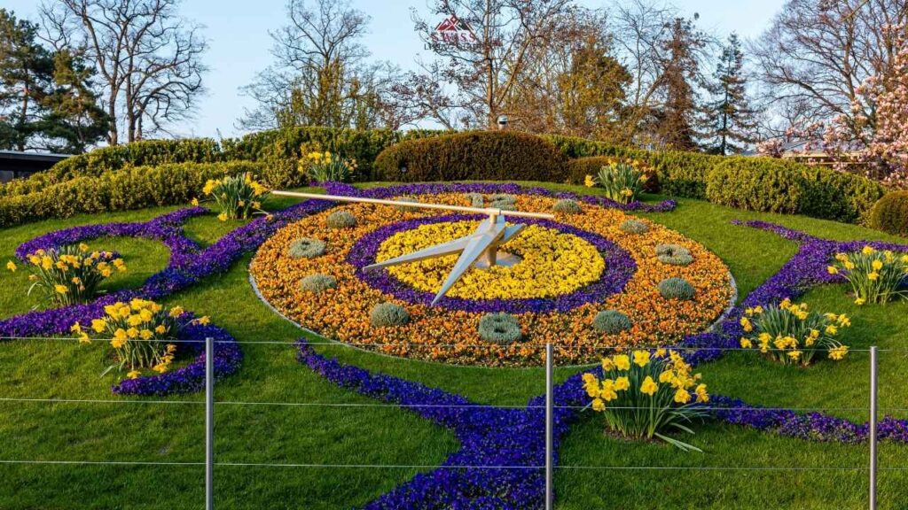 Geneva Flower Clock in Jardin Anglais blooming with vibrant colors beside Lake Geneva